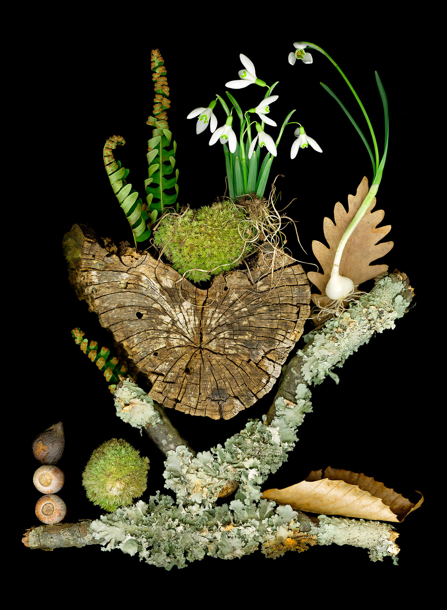 Outdoor Play Photograph by Ellen Hoverkamp