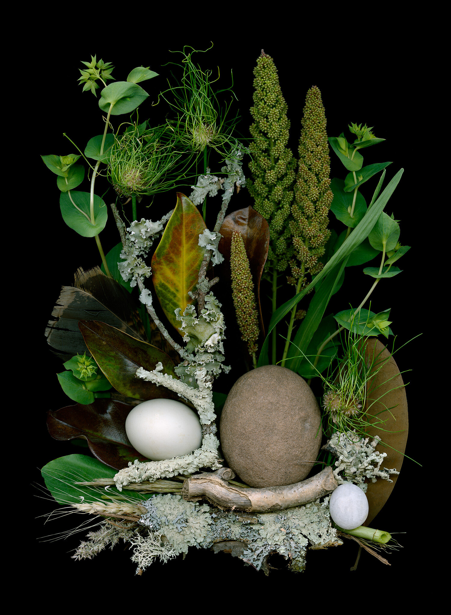 rocks, chicken egg, green plants
