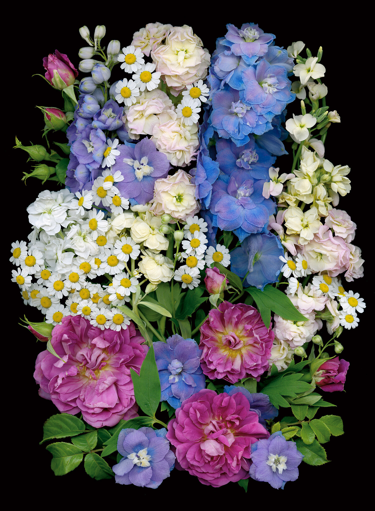delphinium, roses, flower arrangement