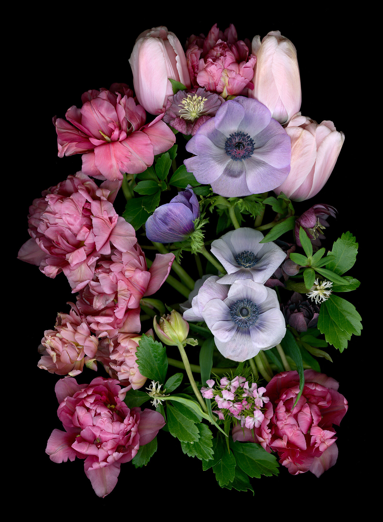 Peonies, Anenomes, Tulips