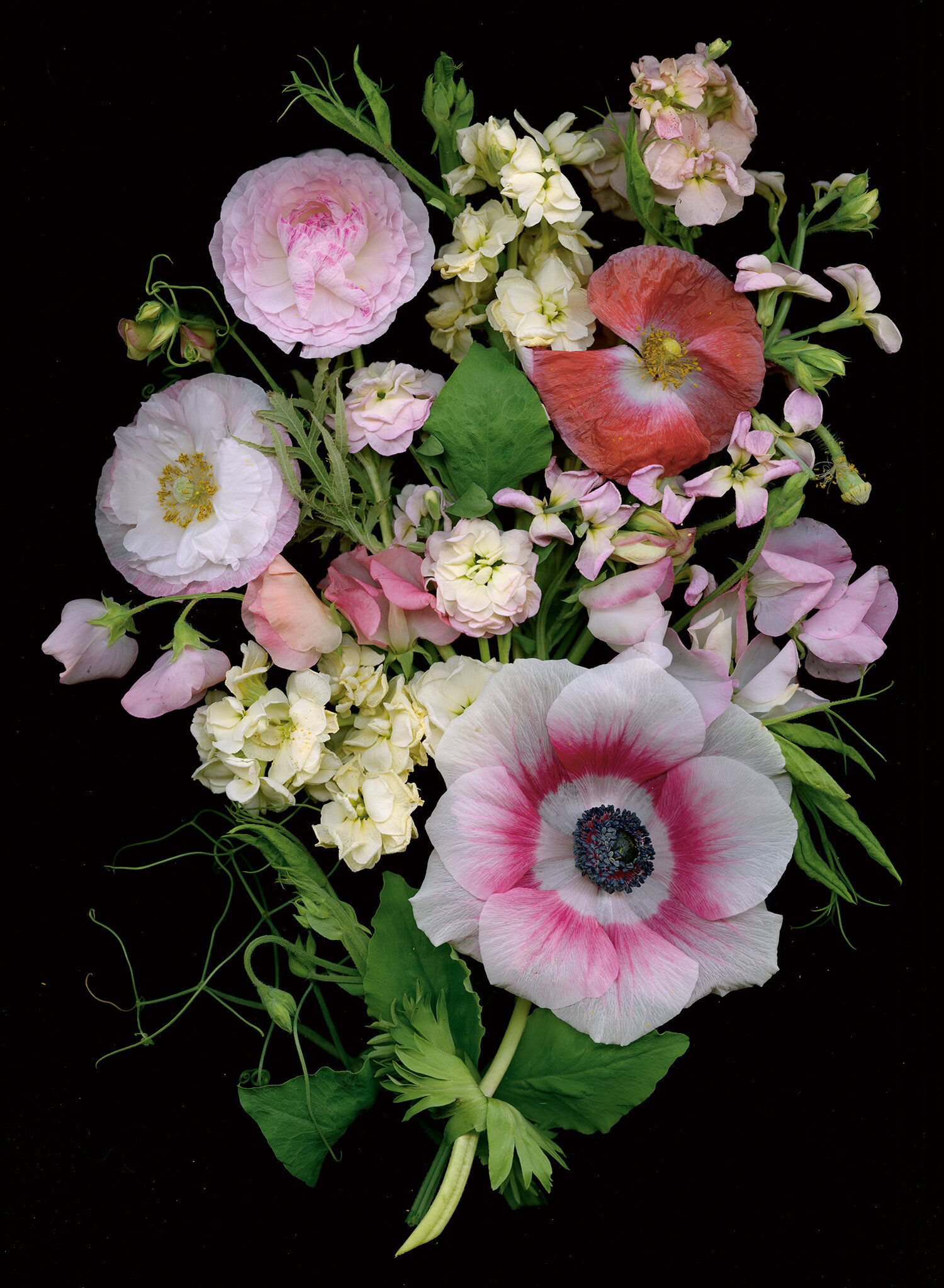 Anenome, poppy, ranunculus bouquet