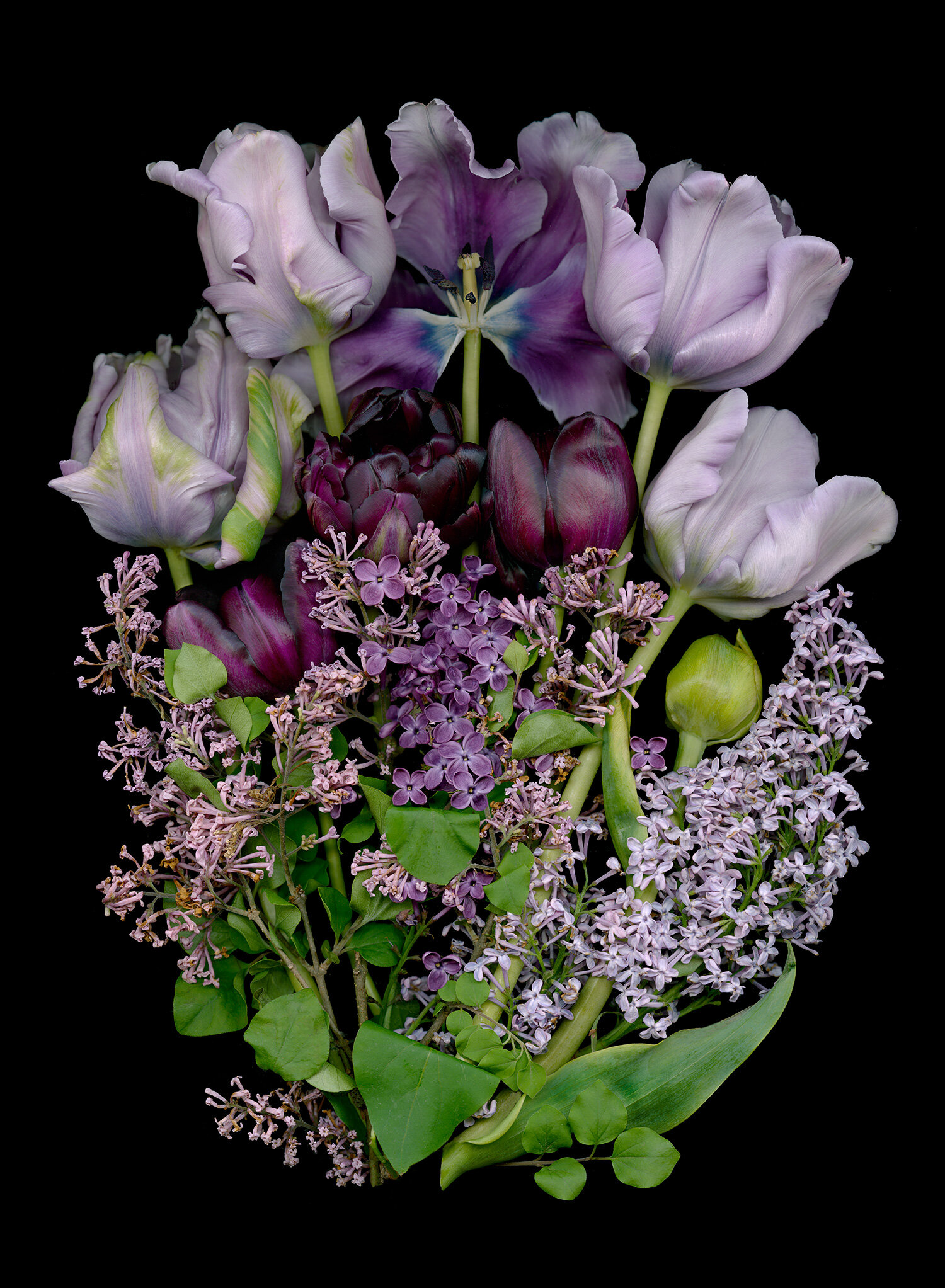 Purple Tulips, Lilacs, egg shaped arrangement