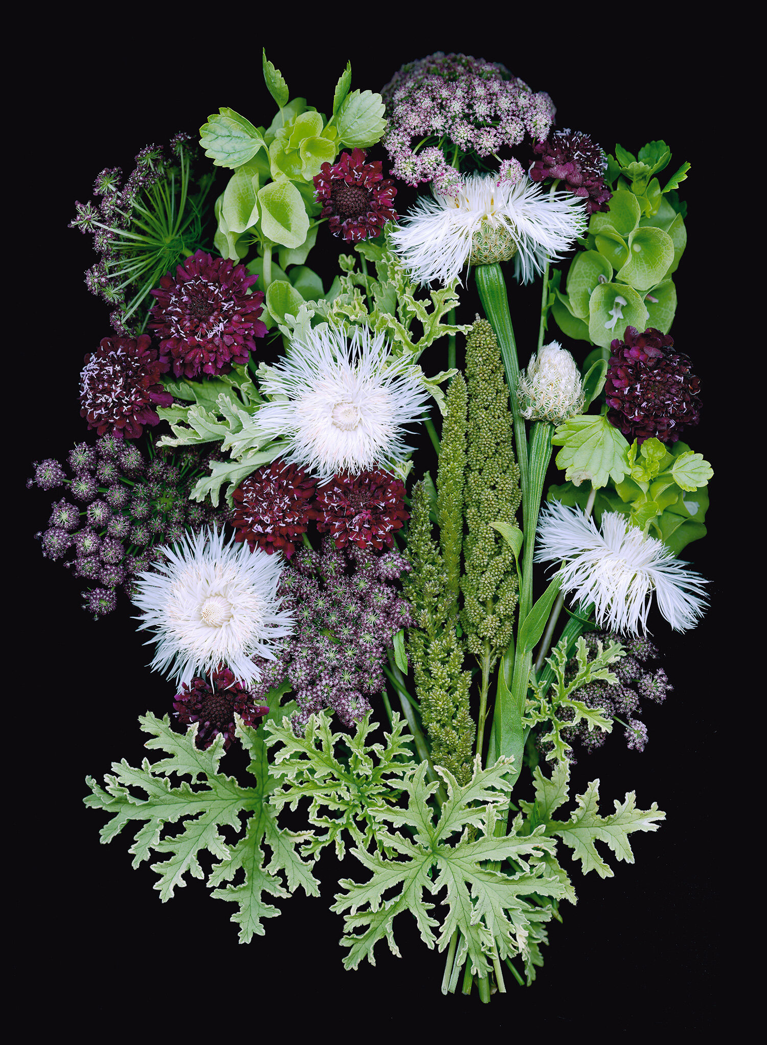 White and Wine Colored Flower Arrangement 
