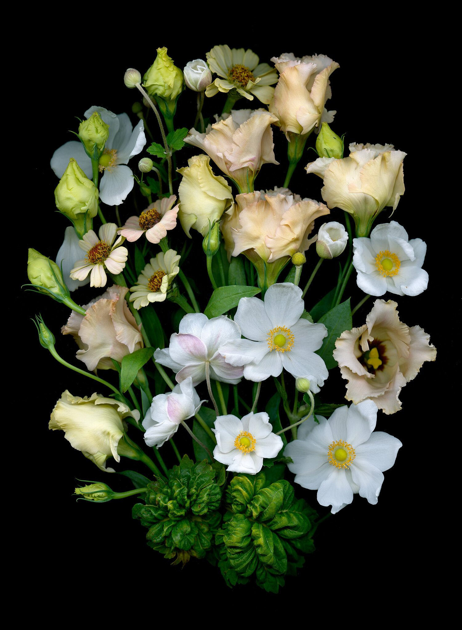 hoverkamp-anemonies-peach-lisianthus-zinnias-bouquet.jpg