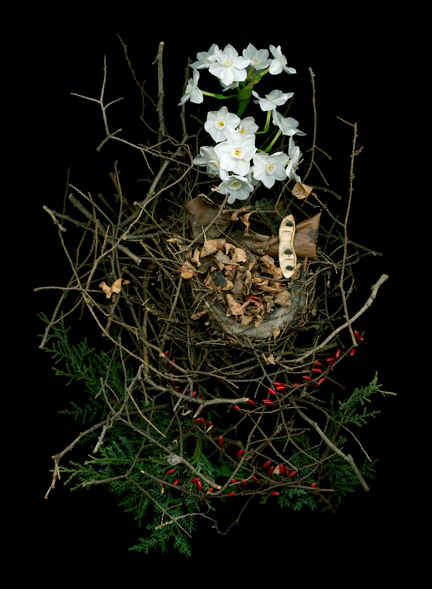 nested-narcissis.jpg
