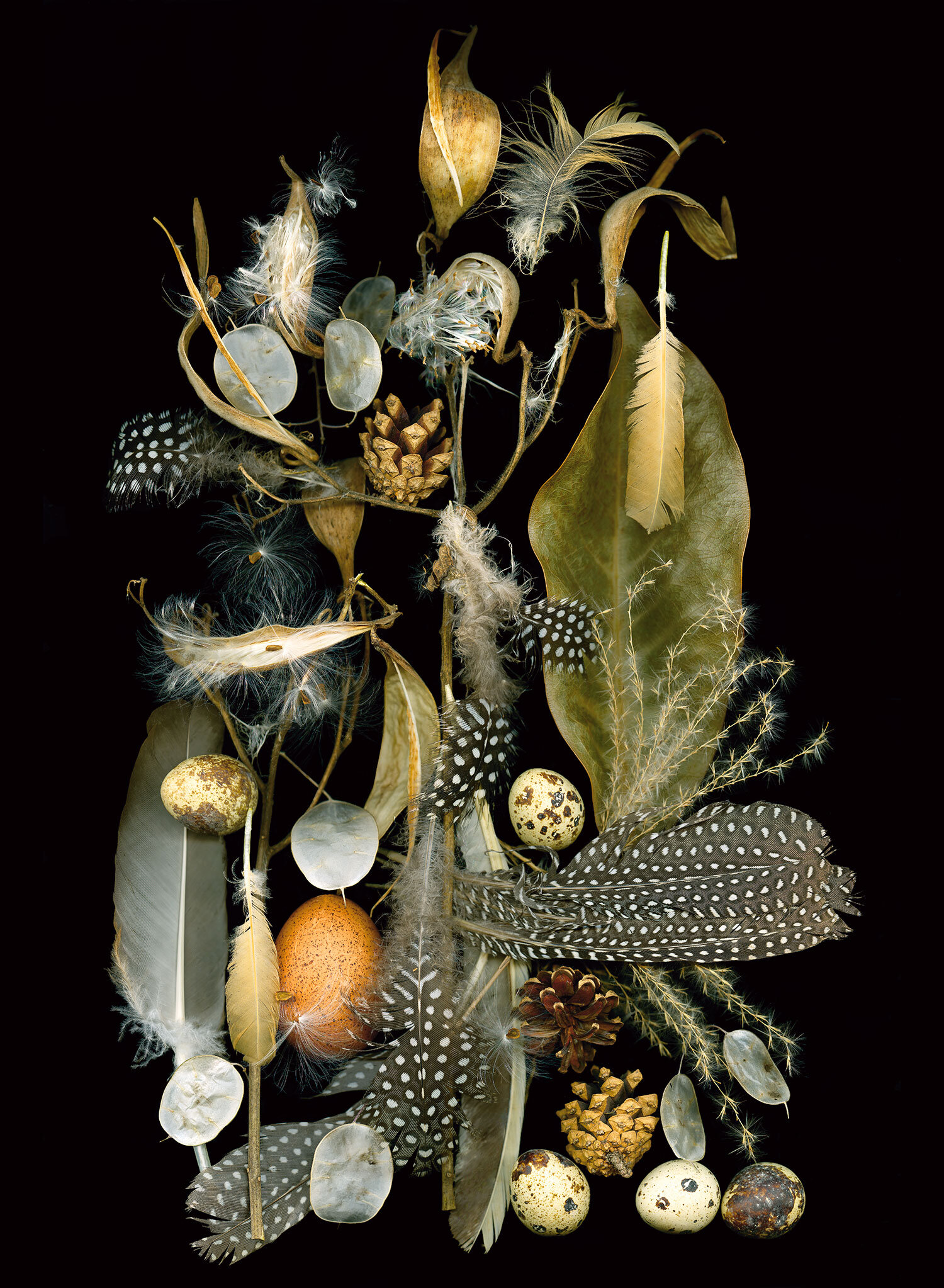 Nesting - Connections