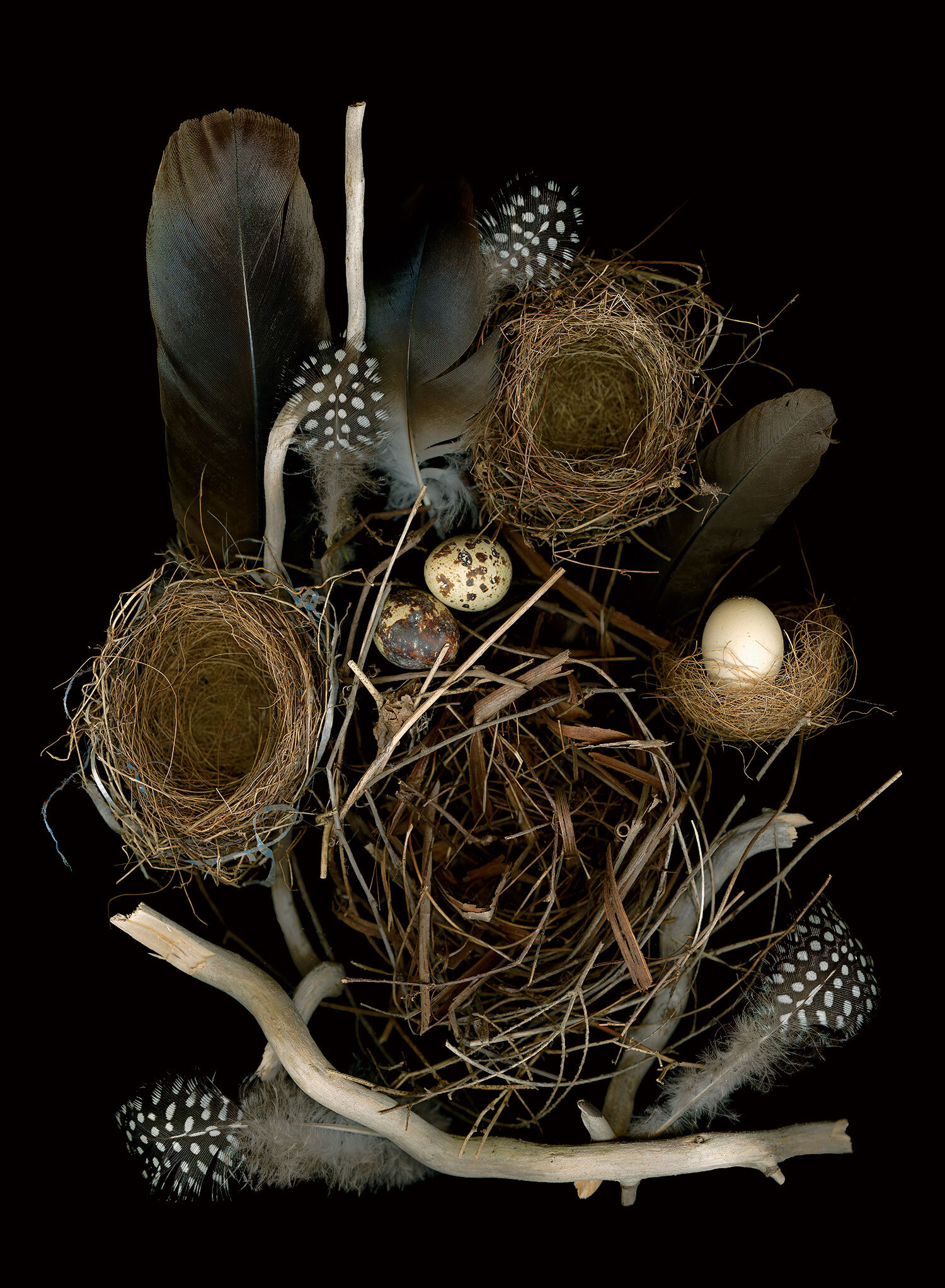 Nesting - Construction