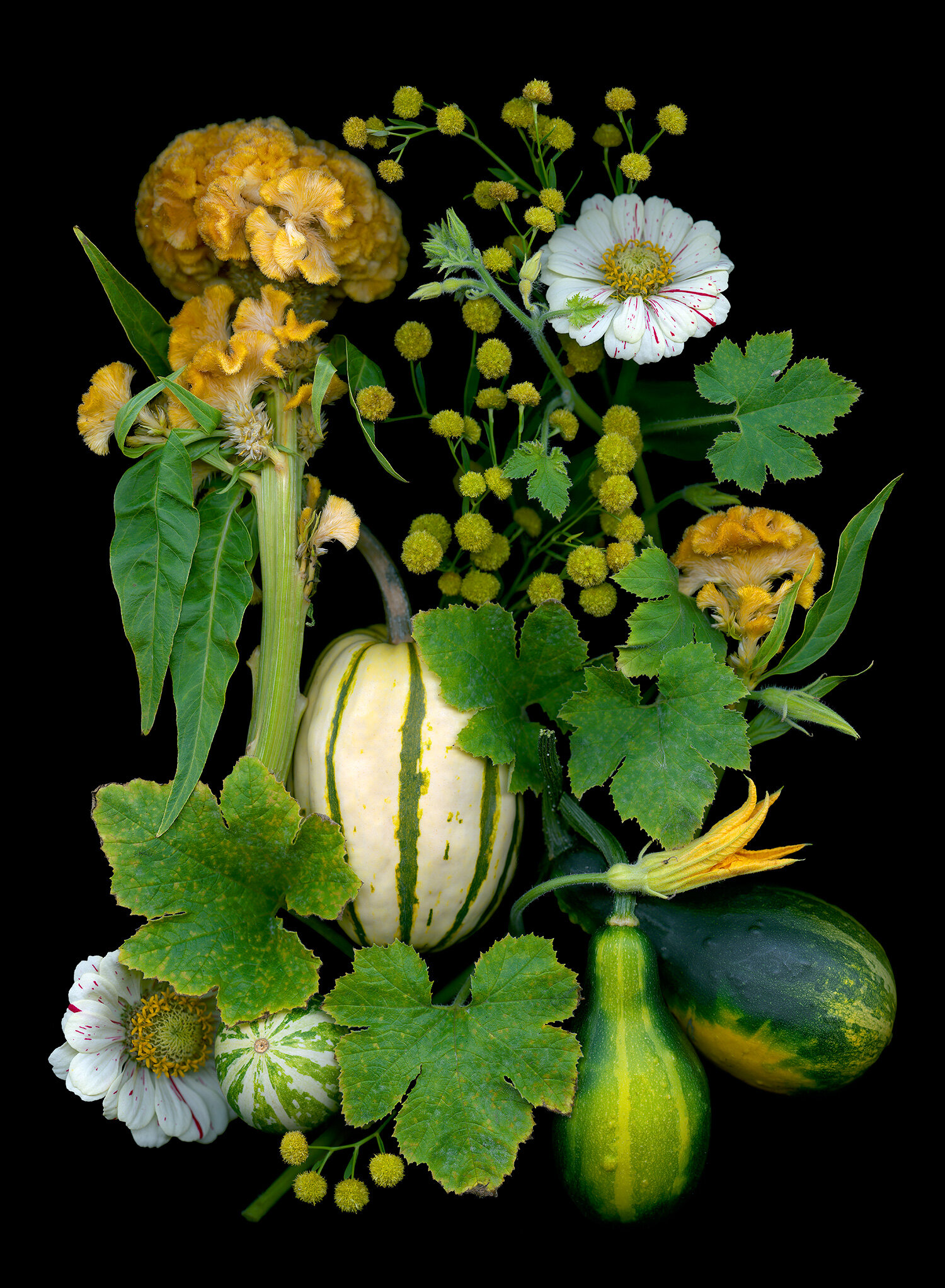 gourds-dots-white-zinnias.jpg