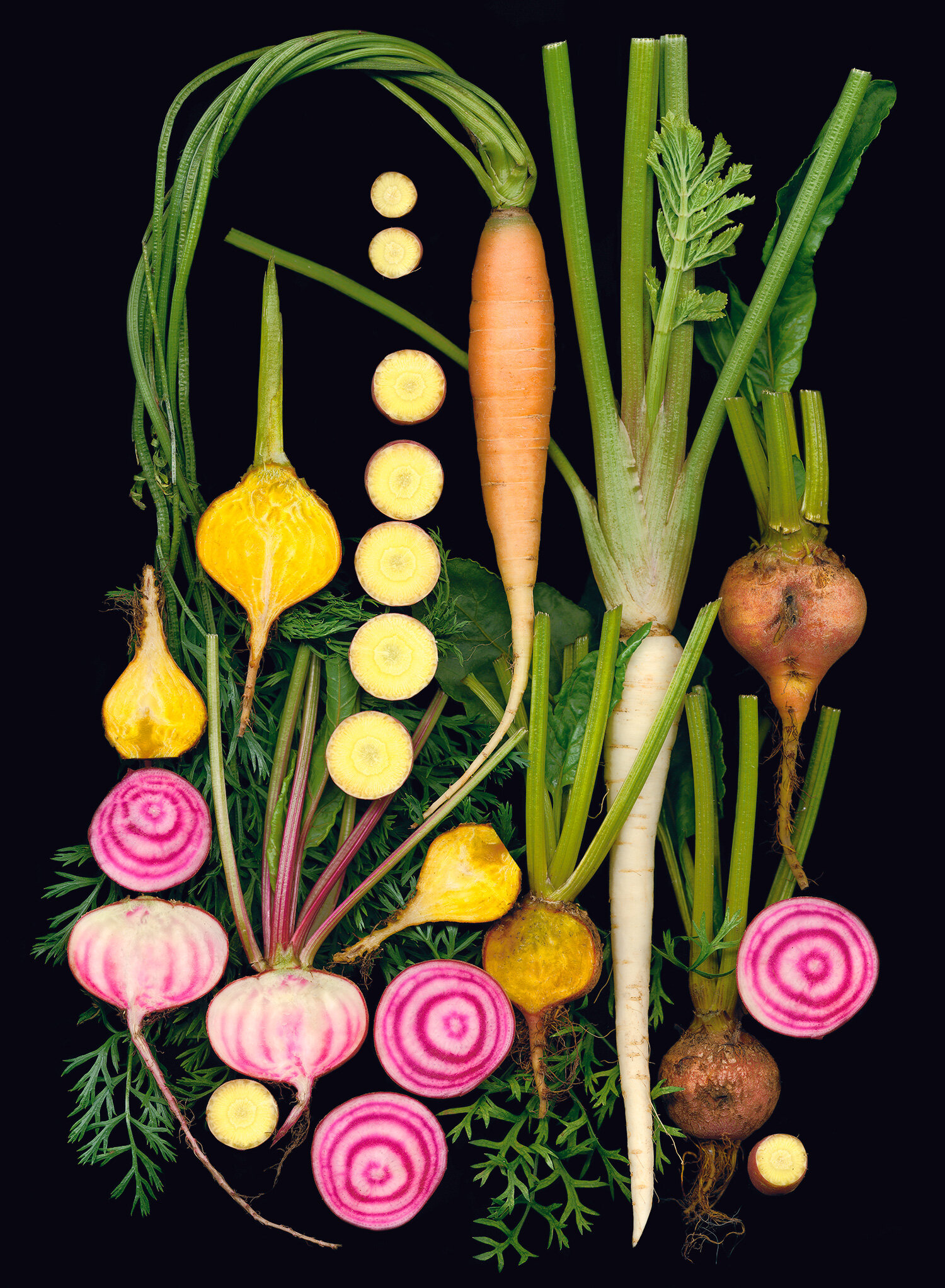vegmosaic.jpg