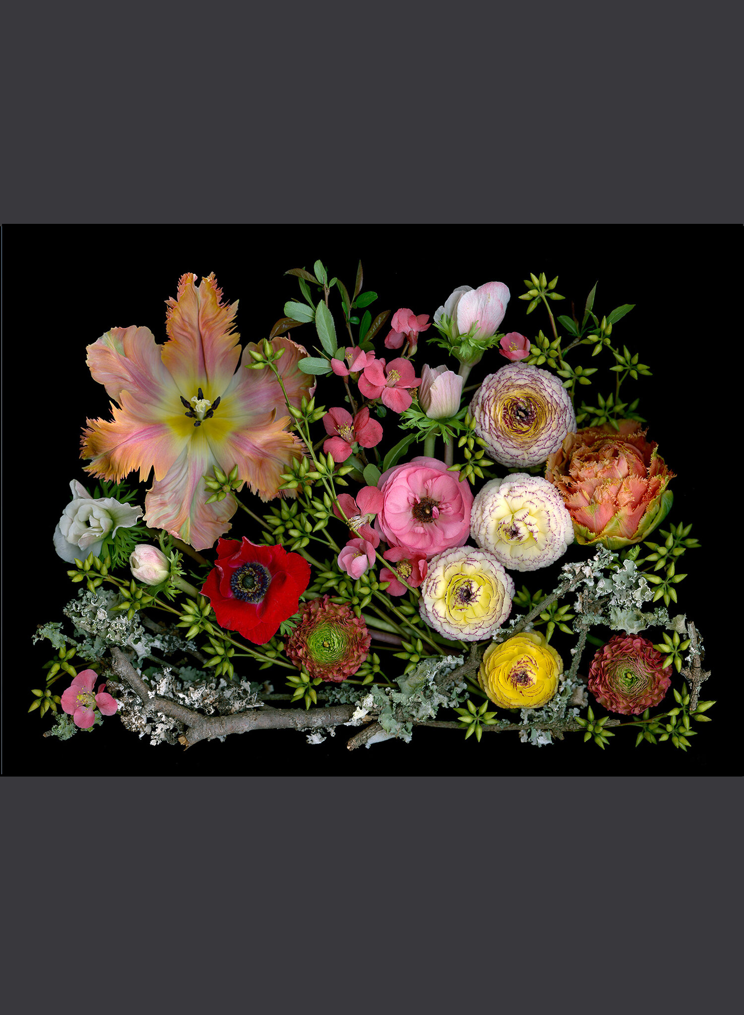 Mixed Cut Flowers